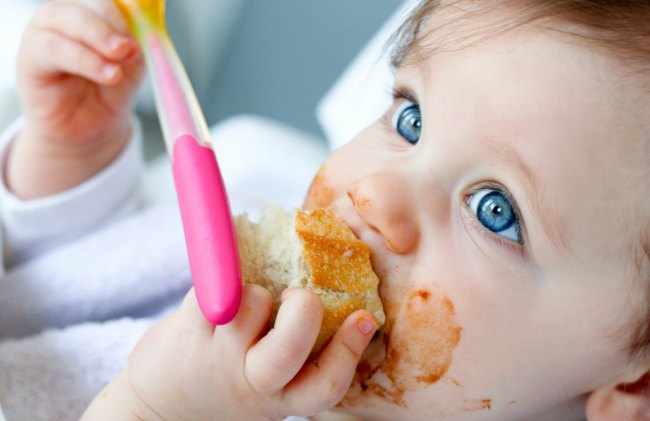 los mejores alimentos para un bebe hasta 1 año