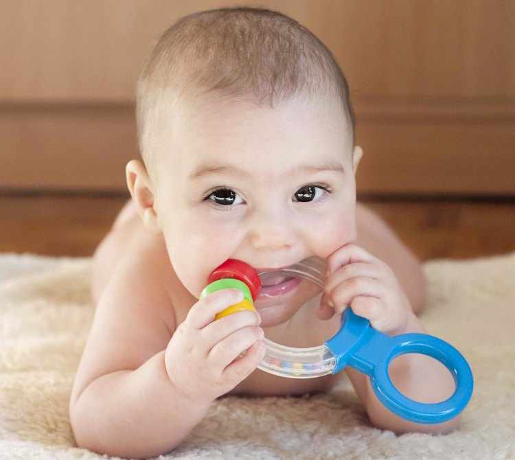 desarrollo bebe 6 meses