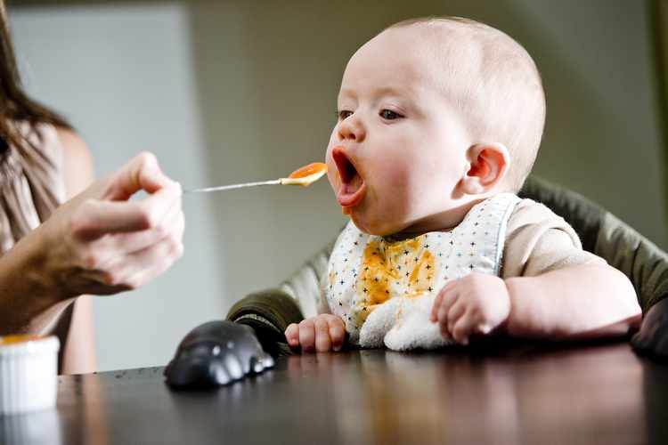 papillas para bebes 6 meses papillas para bebes 6 meses