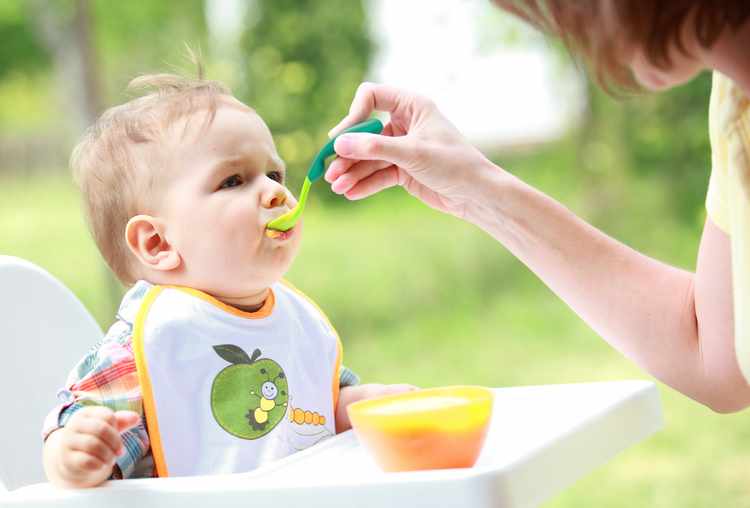 papillas para bebes de 6 meses papillas para bebes de 6 meses